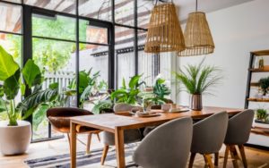 Incorpore a natureza aos ambientes de sua casa ou escritórios, A conexão com a natureza é uma tendência crescente na decoração de interiores.