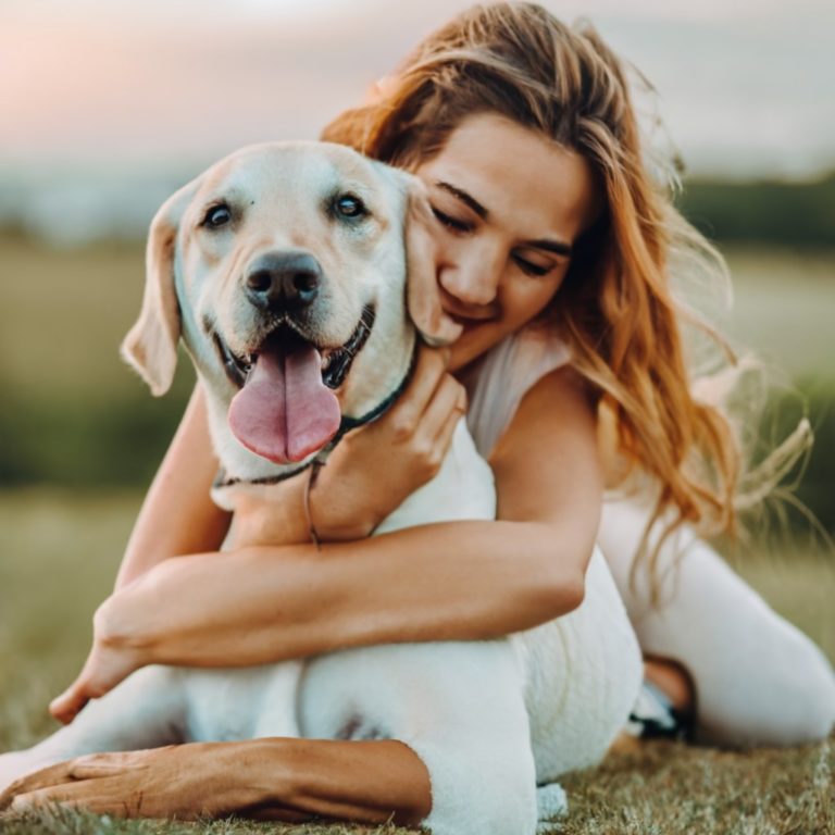 Cuidar de um cachorro envolve compromisso, amor e responsabilidade Um Guia Completo para os Cuidados Adequados com seu Cachorro de Estimação.